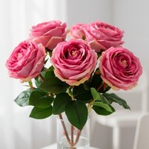 Ніжний дотик